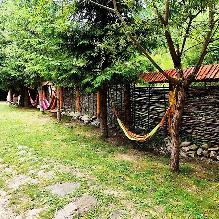 Frasin Lodge Dragoslavele