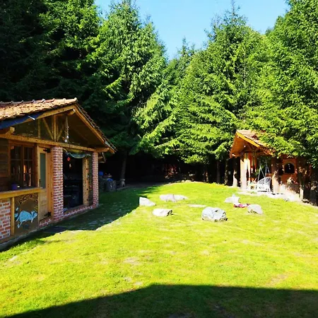 Frasin Lodge Dragoslavele